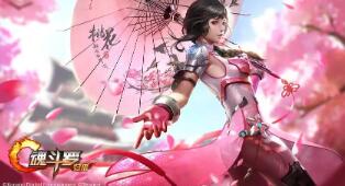 # 王者荣耀中单法王是什么